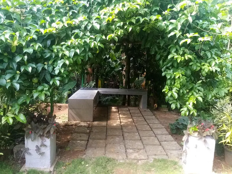 A stone bench on a paved corner of the garden, wrapped in leafy green shrubs