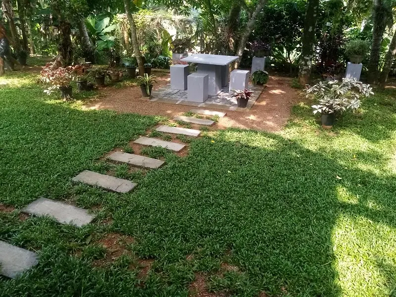 Stepping stones across the lawn to a stone table under the fruit trees in the garden